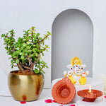 Jade Plant With Ganash & TraditionalDiyas