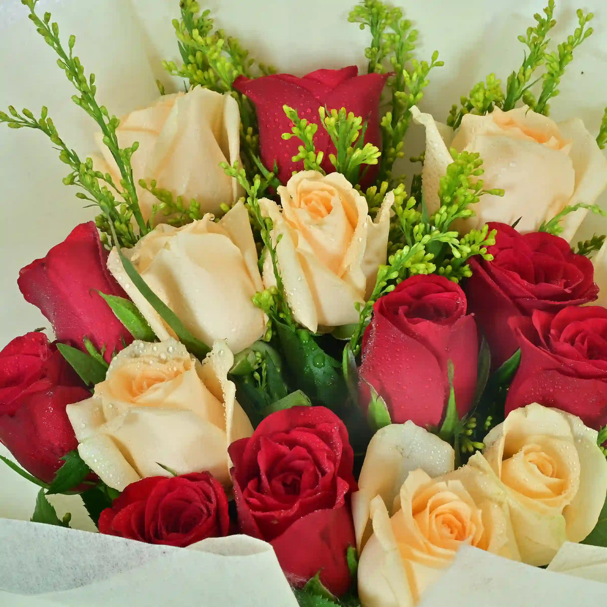 Beauty Of Red & White2