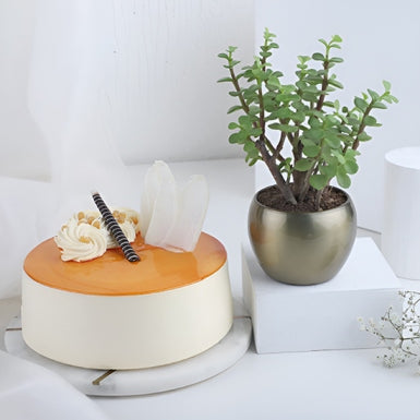 Butterscotch Cake With Jade Plant