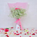 Charming CarnationBlossoms 1