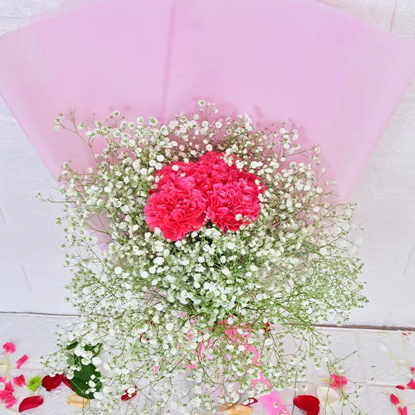 Charming CarnationBlossoms 2