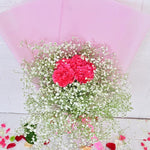 Charming CarnationBlossoms 2