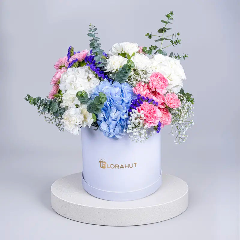 Blush Azure Harmony