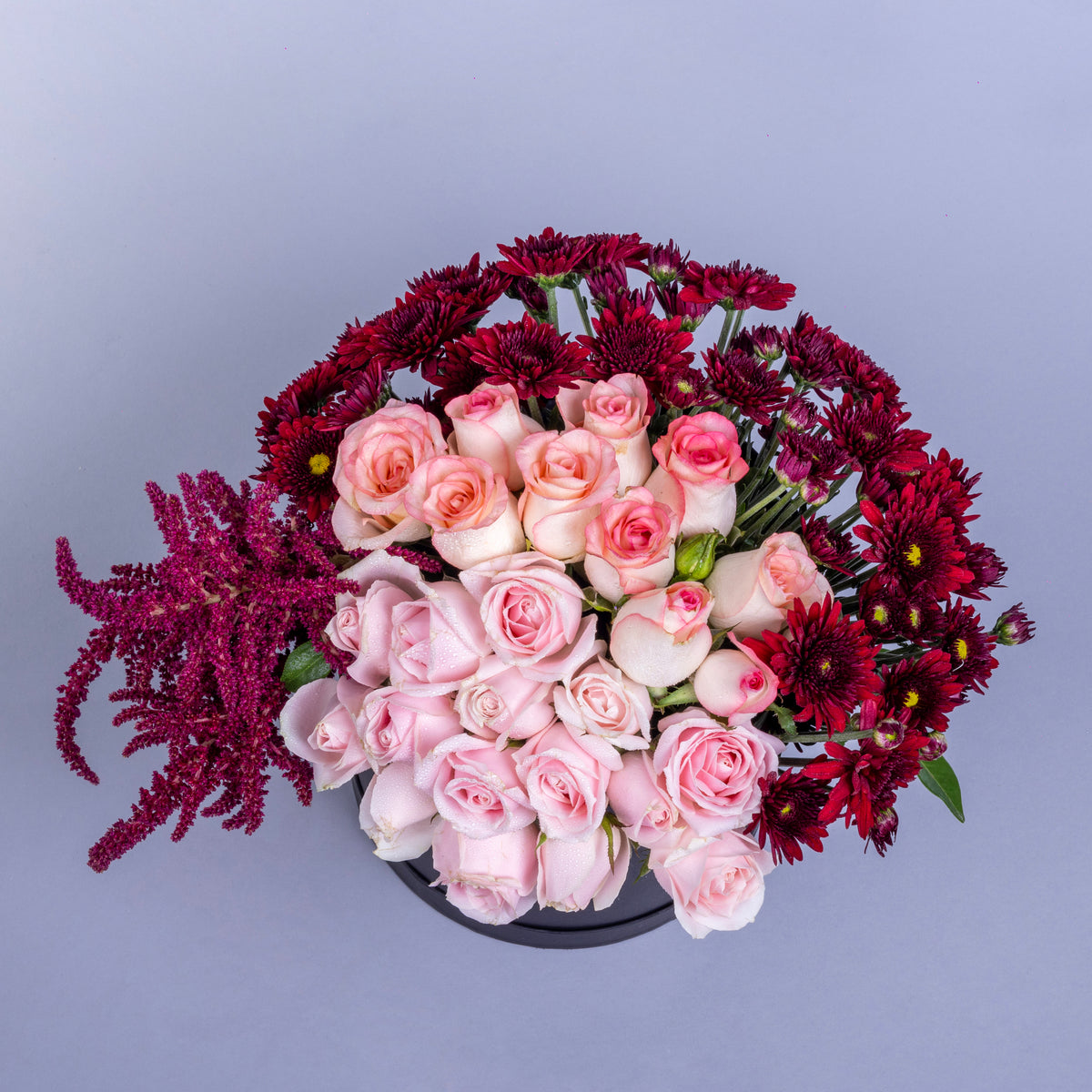 Blush Rose Majesty