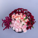 Blush Rose Majesty