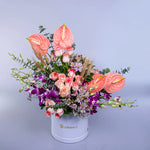 Blush Orchid Majesty