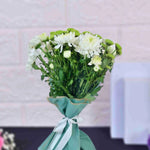 Whispers of the Wind Chrysanthemum