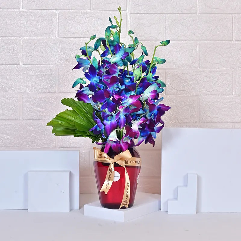 Whispers of Blue Orchids Orchids