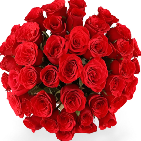 Love Struck - 40 Red Roses