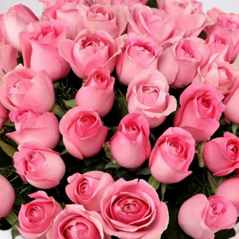 Blissful Pink Rose Affair