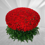 1000 Luxury Red Roses Bouquet