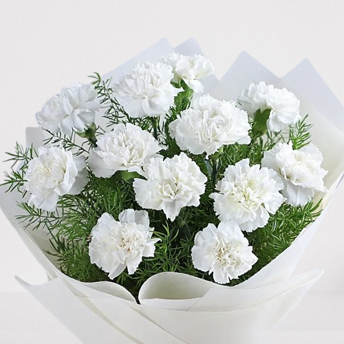 12 Premium White Carnations Bouquet 2