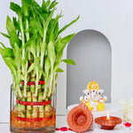 Lucky Bamboo With Diyas & ganesh