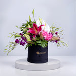 Velvet Lily Elegance