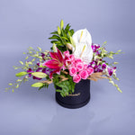 Velvet Lily Elegance