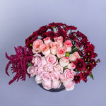 Blush Rose Majesty