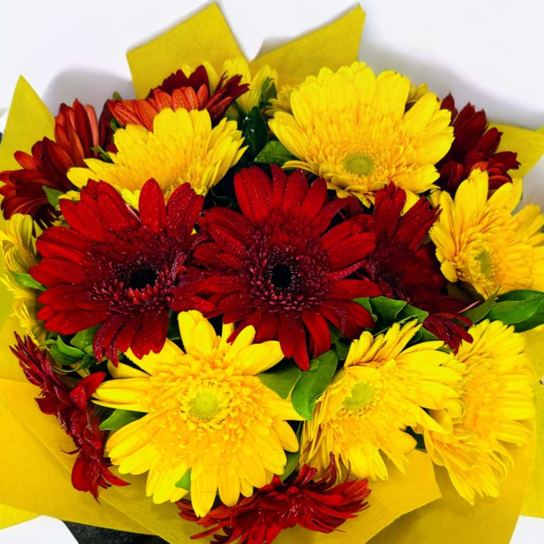 Mix Gerbera Bouquet