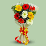 Mixed Gerbera Bouquet