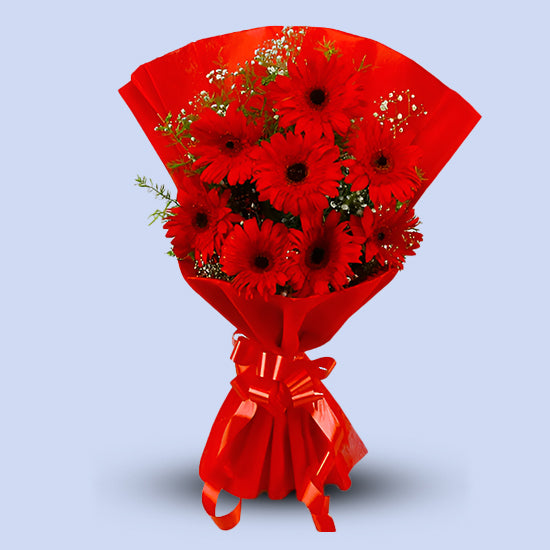 Vibrant Red Gerbera Bouquet