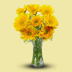 Yellow Gerbera In Vase