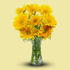 Yellow Gerbera In Vase