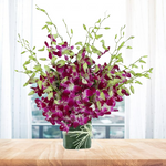 Orchid Elegance in a Glass Vase