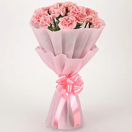 Blushing Beauty Pink Carnation Bouquet