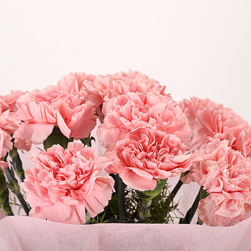 Blushing Beauty Pink Carnation Bouquet